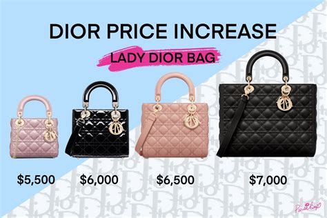 court metrage dior|Dior handbags price.